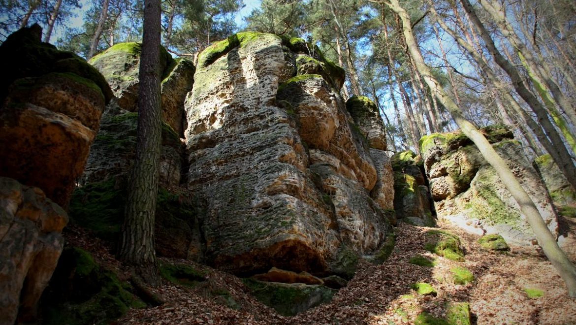 Mšeno – Cinibulkova stezka